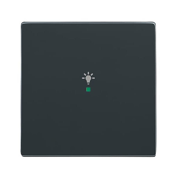 Busch-Jaeger Wippe 1-fach, Symbol Licht anthrazit 6231-10-81